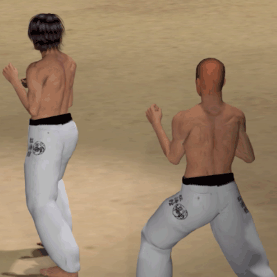 USHIRO ASHI USHIRO GERI