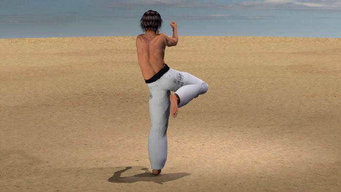 MAWASHI AGE HIZA GERI