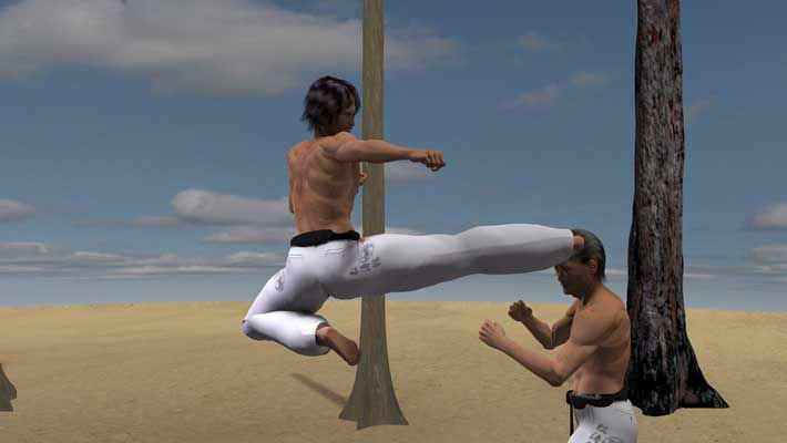 MAWASHI TOBI GERI