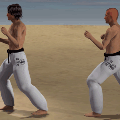 USHIRO ASHI USHIRO GERI