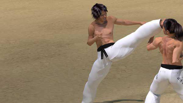 MAWASHI MAE ASHI GERI