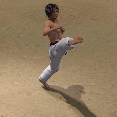 TOBI KONDE MAWASHI GERI