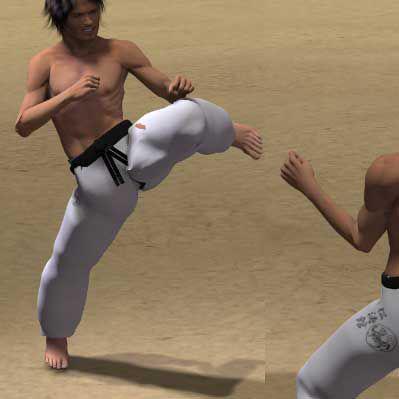 TOBI KONDE MAWASHI GERI