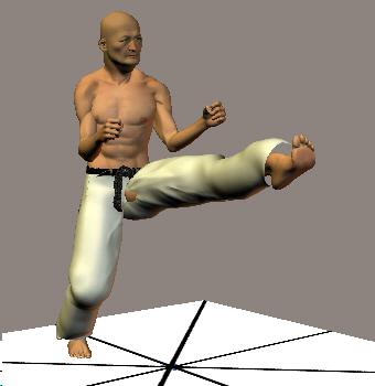 USHIRO ASHI MAE GERI