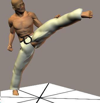 MAWASHI MAE ASHI GERI