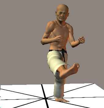 EN SHO MAE GERI