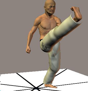KAKATO MAE GERI