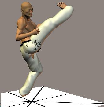 USHIRO URA MIKAZUKI GERI      