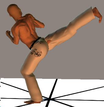 MAE ASHI USHIRO GERI