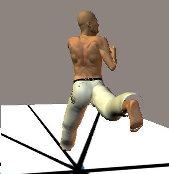 TOBI KONDE USHIRO GERI