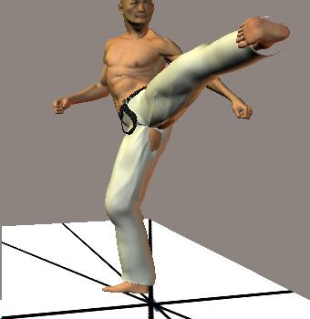TOBI KONDE MAWASHI GERI