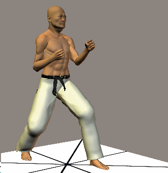 MAWASHI MAE ASHI GERI
