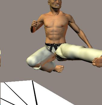 MAWASHI MAE ASHI TOBI GERI