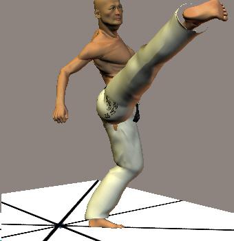 MAWASHI GERI