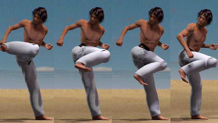 USHIRO MAWASHI TOBI GERI