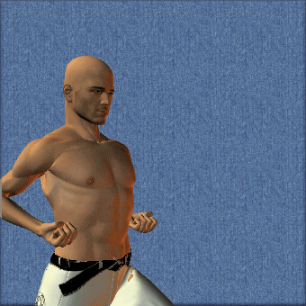 HEIKO TSUKI