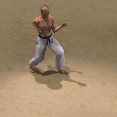 USHIRO MAWASHI KAKATO GERI