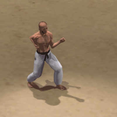 USHIRO MAWASHI KAKATO GERI