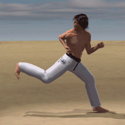 USHIRO KAKE GERI