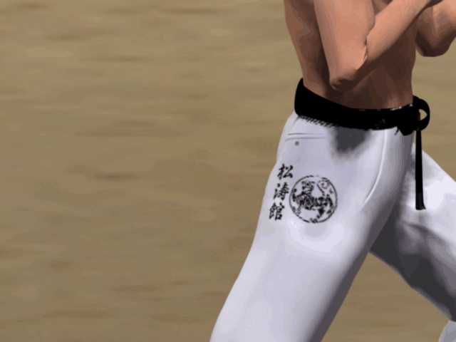 USHIRO MAWASHI TOBI GERI