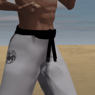 Ushiro Mawashi geri ashi mawatte