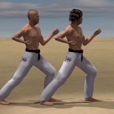 USHIRO KAKE GERI