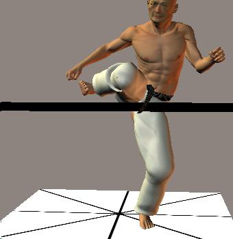 MAWASHI GERI