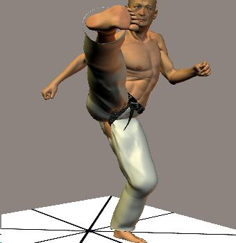 MAWASHI GERI KEAGE