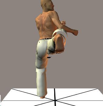 USHIRO GERI 