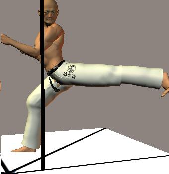 USHIRO GERI KEKOMI
