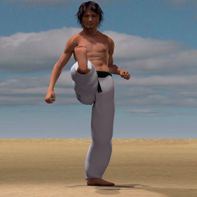 KAKATO MAWASHI GERI