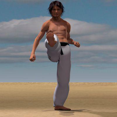 MAWASHI GERI
