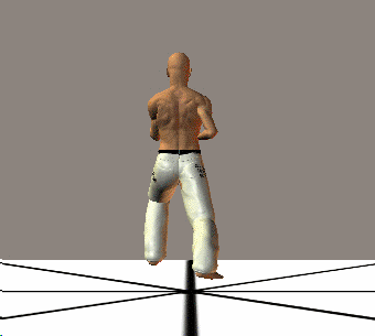 GIROS EN KARATE