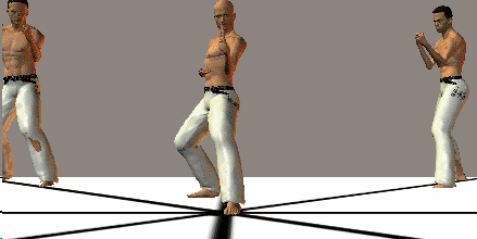 GIROS EN KARATE