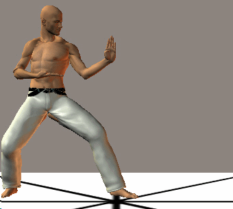 GIROS EN KARATE