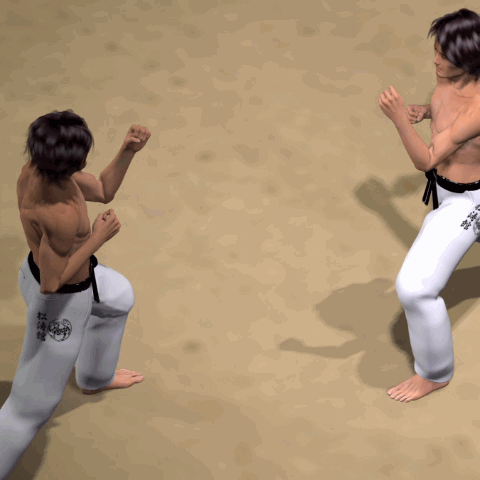 GYAKU MAWASHI GERI