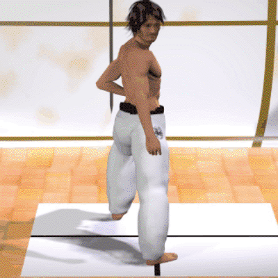 GYAKU ZENKUTSU DACHI