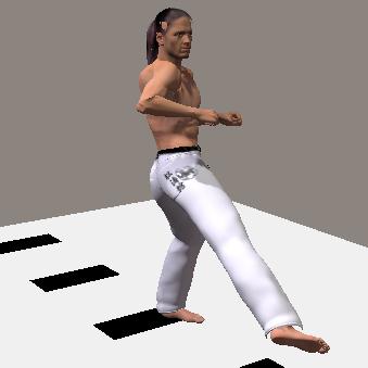 HAISOKU GEDAN MAWASHI GERI