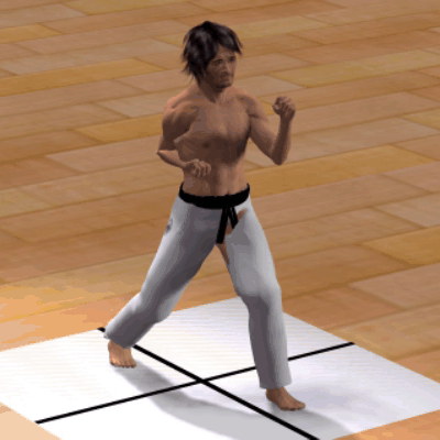 HAIWAN NAGASHI UKE