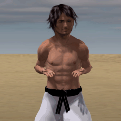 HASAMI HAITO  UCHI