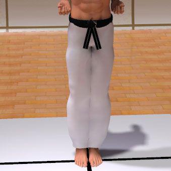 HEISOKU DACHI