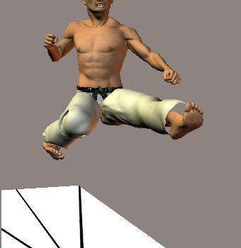 NIDAN MAWASHI GERI