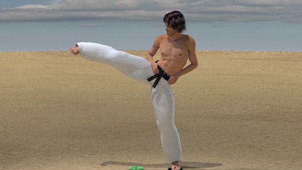 YOKO GERI KEAGE  KYOKUSHINKAI