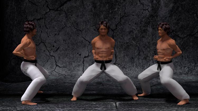 KIBA DACHI
