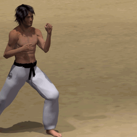 KO MAWASHI GERI
