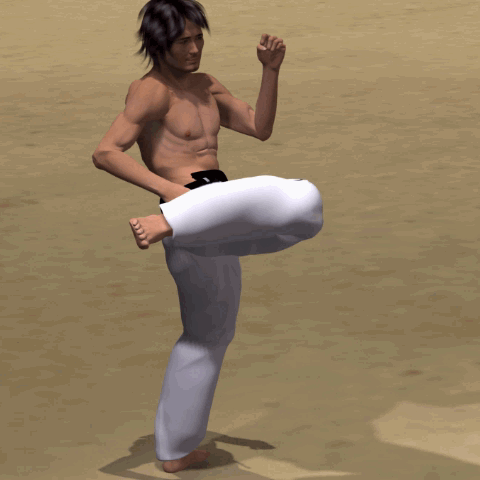 KO MAWASHI GERI