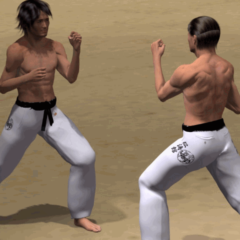 KO MAWASHI GERI