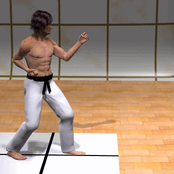 GIROS EN KARATE