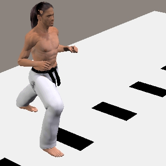 USHIRO ASHI GERI