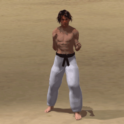 MAWASHI AGE HIZA GERI
